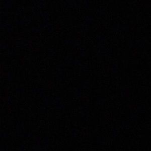 Meet your Posher, Riley